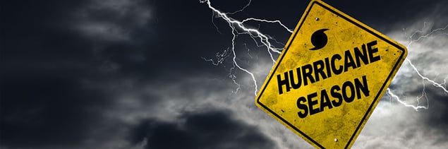 Hurricane-proof your business