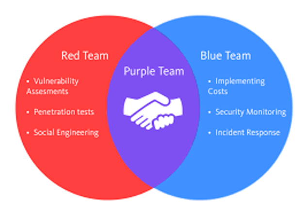 Why Purple Teaming?